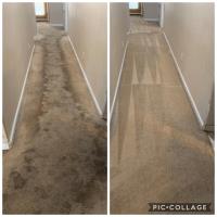 Steam Master DFW Carpet & Tile Cleaning image 2